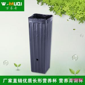 营养杯