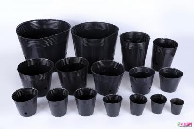 营养杯