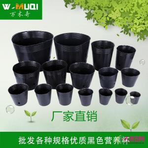 营养杯